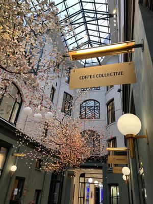 Coffee Collective Bernikow by null