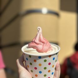 Neopolitan (you can ask for a cup instead of a cone like they advertise) IG: @ammysalamii