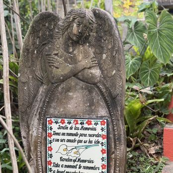 Vallarta Botanical Gardens - A place for our loved ones. - Botanical Gardens Near Me - Cabo Corrientes, JAL Vallarta Botanical Gardens - A place for our loved ones. - Botanical Gardens Near Me - Cabo Corrientes, JAL