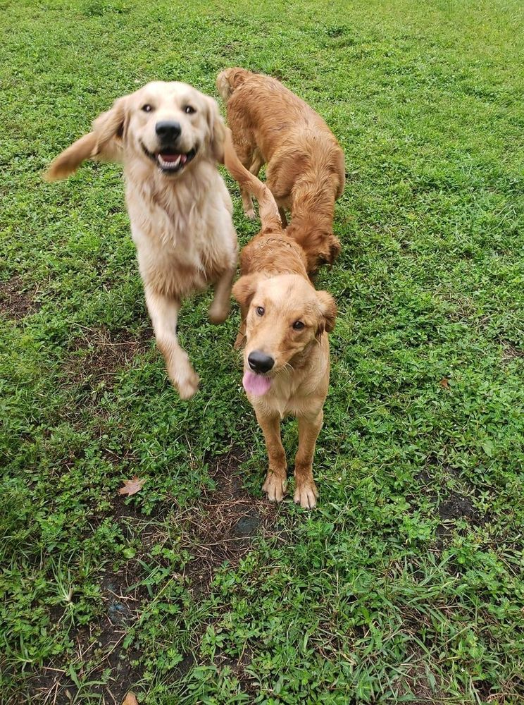 HOME PLACE BED & BISCUIT Updated September 2024 13 Photos & 18