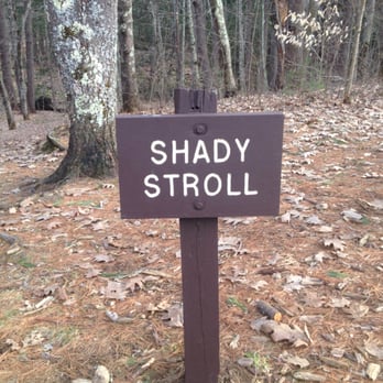 Vaughan Woods Memorial State Park - One of the trails - Parks Near Me - South Berwick, Maine