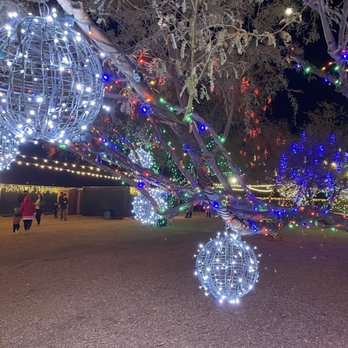 Desert Farm Lights - Decorated trees. - Bounce House Rentals Near Me - Waddell, Arizona Desert Farm Lights - Decorated trees. - Bounce House Rentals Near Me - Waddell, Arizona