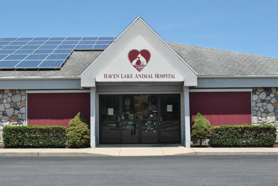 Haven Lake Animal Hospital Image