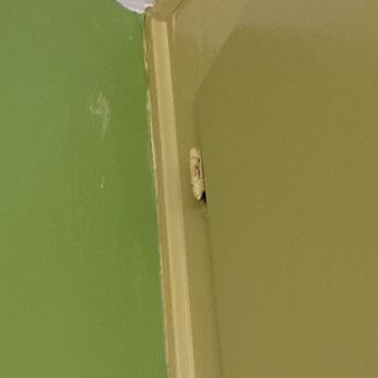 Aguilar's Painting - Cabinet paint on wall. - Painters Near Me Aguilar's Painting - Cabinet paint on wall. - Painters Near Me