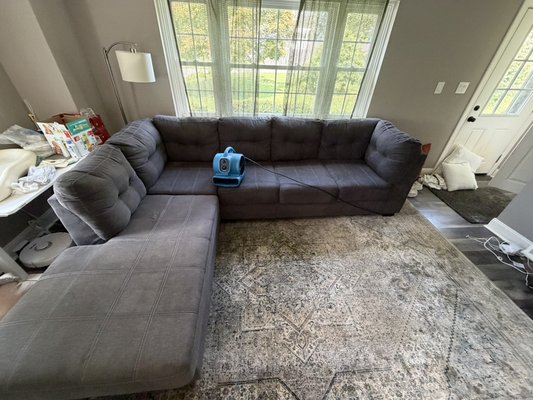 Pro Care Carpet & Upholstery Cleaning on Yelp