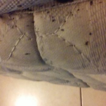 Villa Serena Motel - Bedbugs - Hotels Near Me - El Cajon, California Villa Serena Motel - Bedbugs - Hotels Near Me - El Cajon, California