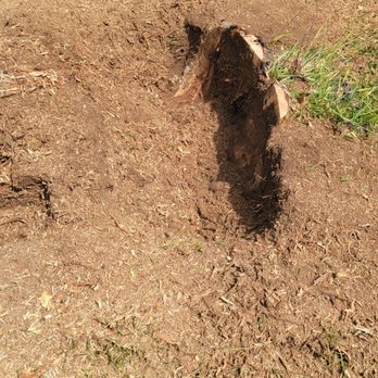 Aztec Tree Service - Almost done... - Tree Services Near Me