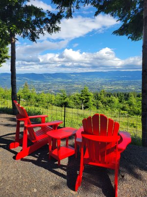 South Hill Winery by null