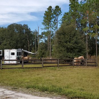 Oak Ridge Equestrian Area - Horses in the parking lot area - Hiking Near Me - Thonotosassa, Florida Oak Ridge Equestrian Area - Horses in the parking lot area - Hiking Near Me - Thonotosassa, Florida