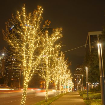 Britescape - Commercial Holiday Lighting - Gardeners Near Me - Seattle, Washington Britescape - Commercial Holiday Lighting - Gardeners Near Me - Seattle, Washington