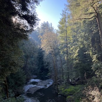 Samuel P Taylor State Park - Outside - Parks Near Me - Lagunitas, California