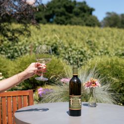 Merry Edwards Winery - Discover Russian River Valley Sauvignon Blanc, crafted in Sebastopol.