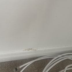 Provision Reno - Damage to the wall