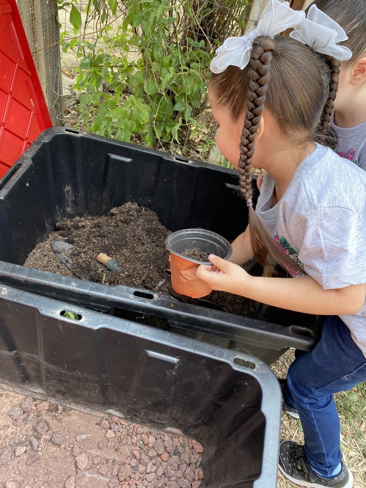 Sprout and Blossom Logo