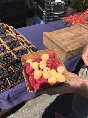 Mission Community Market by null