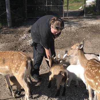 Lagoon Deer Park - Petting Zoos Near Me - Sandusky, Ohio