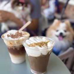 Mind Coffee - Iced Mindspänner Latte ($7.50) + Iced Whipped Honey Cream Hōjicha Latte (Seasonal-$8.95)