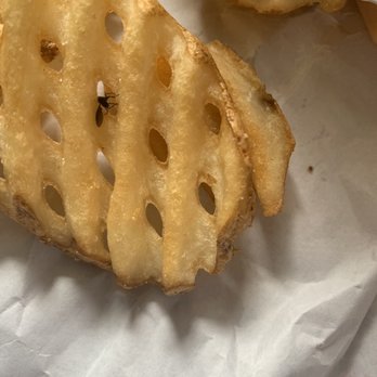 Chick-fil-A - It's a dead spider on my fries from chic fil a!!!!! So gross. - Fast Food Near Me - Westminster, California Chick-fil-A - It's a dead spider on my fries from chic fil a!!!!! So gross. - Fast Food Near Me - Westminster, California