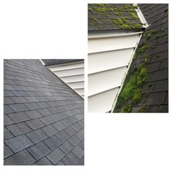 Pro Washing Services - Roof cleaning!