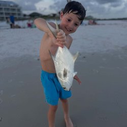 Yellowfin Ocean Sports