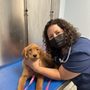 Photo of Ramtown Animal Hospital