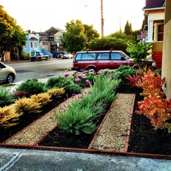 Columbine Landscaping - A few short months later! - Landscape Architects or Designers Near Me - Oakland, California