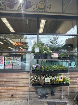 Cherry Sprout Produce by null