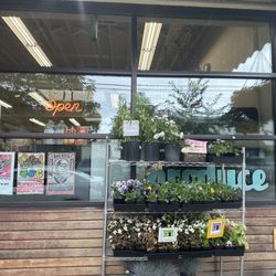 Cherry Sprout Produce - Display