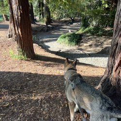 Shoup Park - Creek dry by august