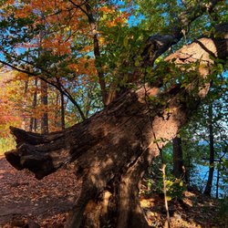 Picnic Point