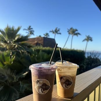 Early Bird Coffee - Ube and Coconut - Coffee & Tea Near Me - Kihei, Hawaii Early Bird Coffee - Ube and Coconut - Coffee & Tea Near Me - Kihei, Hawaii