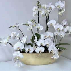 Newport Florist