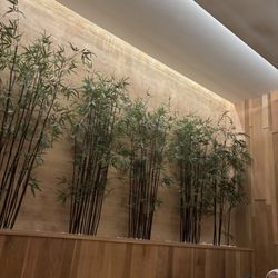 K Spa - Forest room