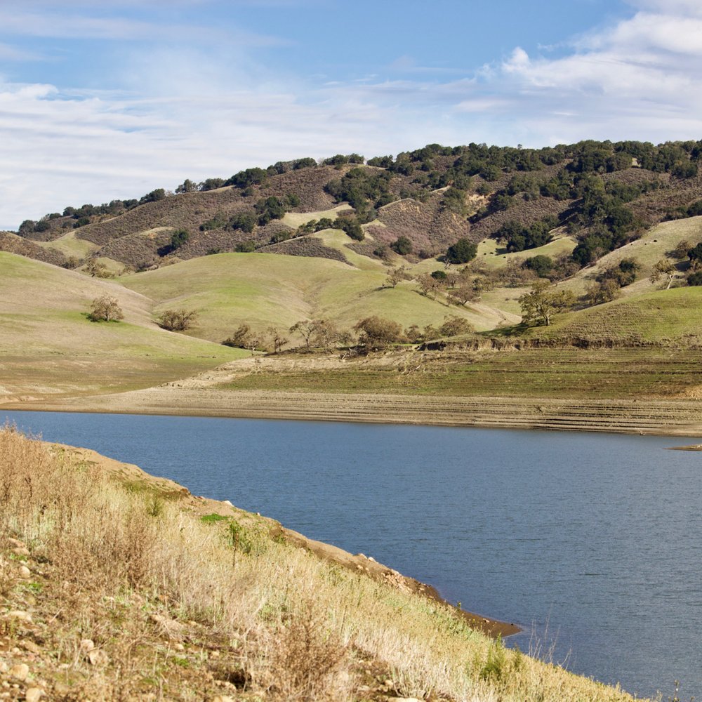 Anderson Lake County Park - ☱Anderson Lake County Park☱ - Parks Near Me - Morgan Hill, California Anderson Lake County Park - ☱Anderson Lake County Park☱ - Parks Near Me - Morgan Hill, California