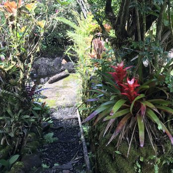 Nahiku Tropicals - Garden path - Florists Near Me
