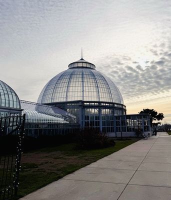 Anna Scripps Whitcomb Conservatory by null