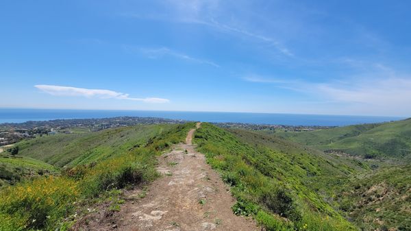 Zuma Canyon Trail by null