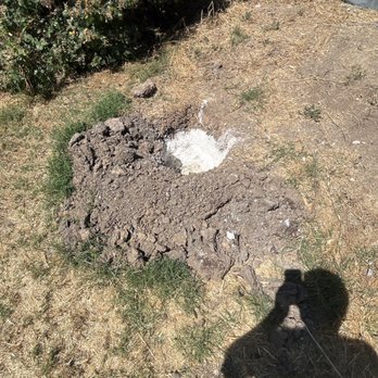 Tommy's Handy Services - This is how they dumped their waste and did not even clean or fill back up. - Handyman Near Me Tommy's Handy Services - This is how they dumped their waste and did not even clean or fill back up. - Handyman Near Me