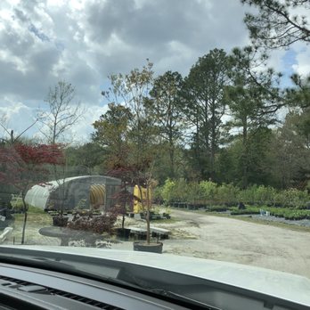 Little's Nursery - Nurseries & Gardening Near Me - Greenville, North Carolina