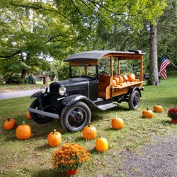 Locust Grove Fruit Farm - Truck load of pumpkins