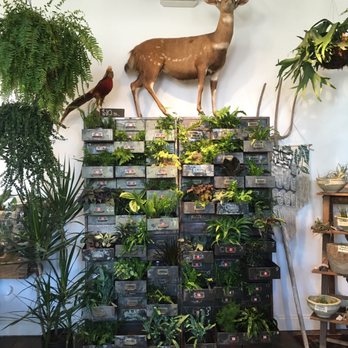 Seed To Stem - Antiques Near Me - Worcester, Massachusetts