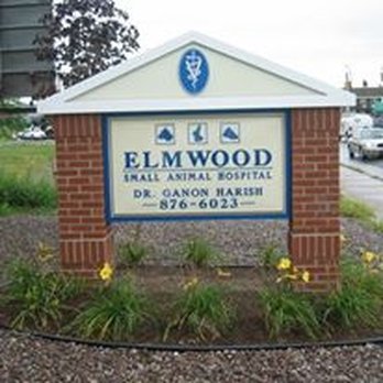 Elmwood Small Animal Hospital Kenmore: Trusted Care for Your Pets