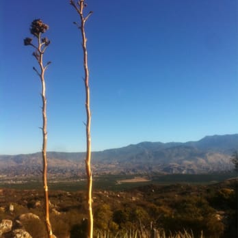 Simpson Park - Beautiful View of citrus orchards - Hiking Near Me - Hemet, California Simpson Park - Beautiful View of citrus orchards - Hiking Near Me - Hemet, California