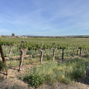 Still Waters Vineyards - Gorgeous vineyard views - Wineries Near Me - Paso Robles, California Still Waters Vineyards - Gorgeous vineyard views - Wineries Near Me - Paso Robles, California
