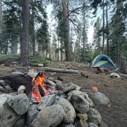 Camp Shelly - Campsite