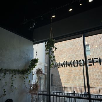 Cafe Comma - Coffee & Tea Near Me - Atlanta, Georgia