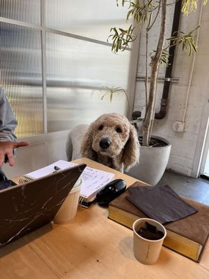 Maru Coffee by null
