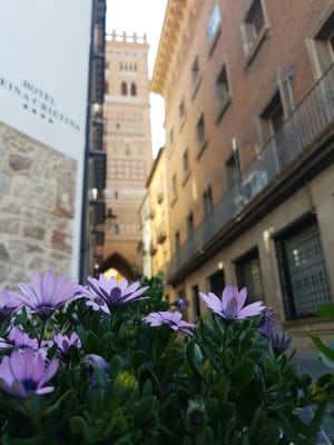 Hotel Reina Cristina by null