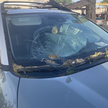 Gerber Collision & Glass - Befor repairs a tree crushed my car - Body Shops Near Me - Phoenix, Arizona Gerber Collision & Glass - Befor repairs a tree crushed my car - Body Shops Near Me - Phoenix, Arizona