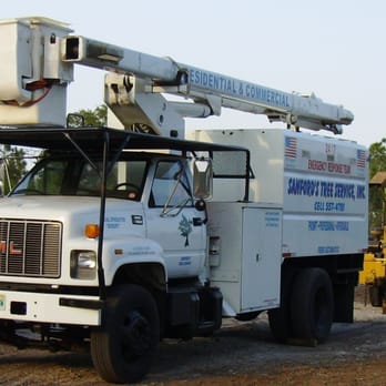 Sanford's Tree Service - Tree Services Near Me - Jacksonville, Florida Sanford's Tree Service - Tree Services Near Me - Jacksonville, Florida